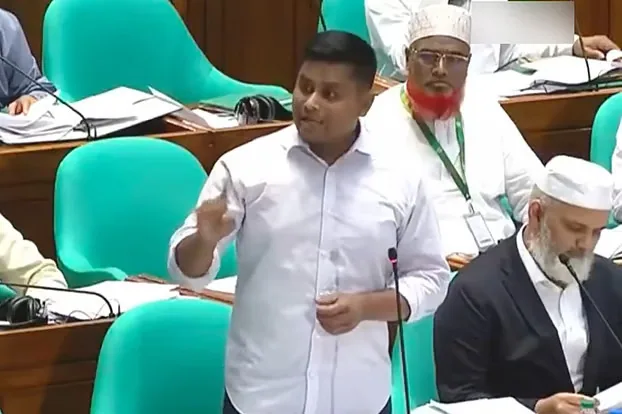 বিলের আলোচনায় বিসিবিকে ‘বাপের দোয়া ক্রিকেট বোর্ড’ বললেন হাসনাত