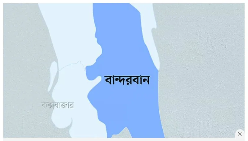 নাইক্ষ্যংছড়িতে চাল বিতরণে ছাত্রদল নেতার বিশৃঙ্খলা, হুমকির অভিযোগ