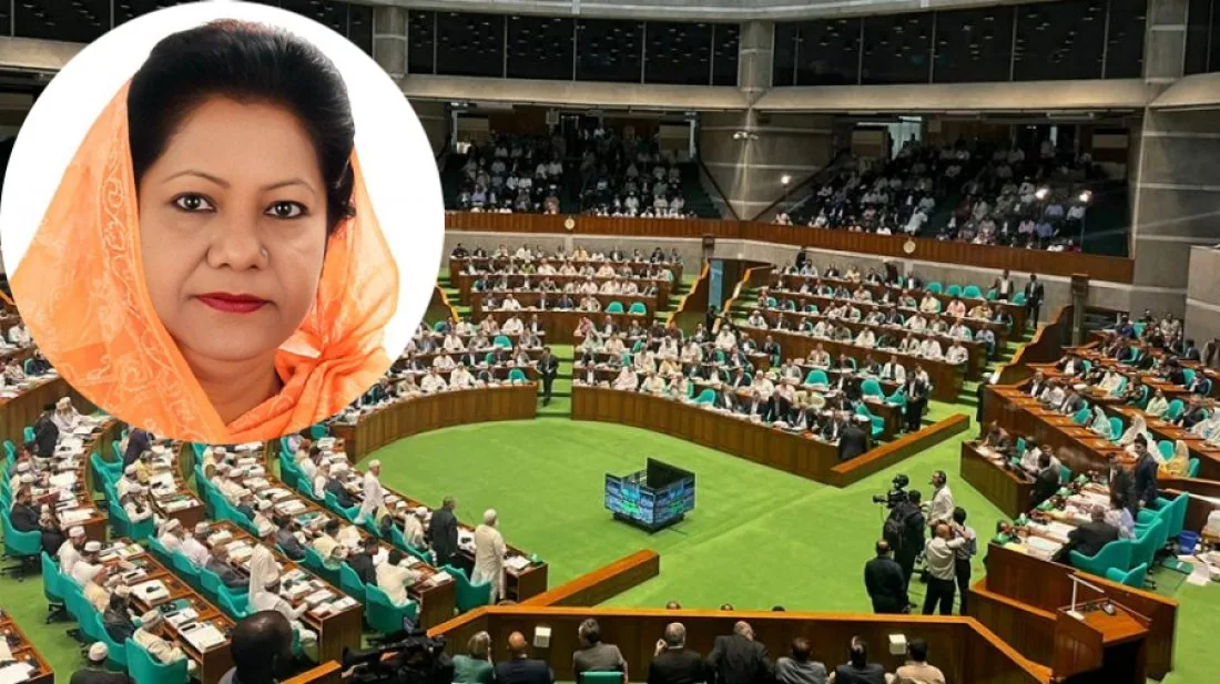 শেখ হাসিনা ফিরে এলে ফেসবুকে প্রোফাইল লালকারীদের জীবন কালো করে দেবে: সংসদে বিএনপির এমপি